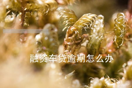 融资车贷逾期怎么办 融资车贷逾期怎么办