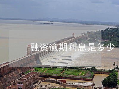 融资逾期利息是多少 融资逾期利息是多少