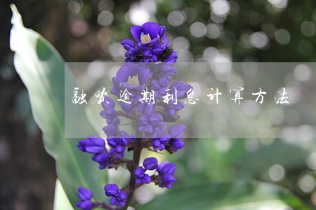 融资逾期利息计算方法 融资逾期利息计算方法