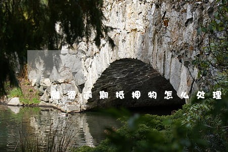 融资逾期抵押物怎么处理