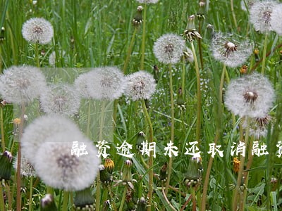 融资逾期未还取消融资额 融资逾期未还取消融资额