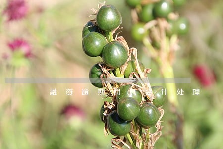 融资逾期罚息会计处理 融资逾期罚息会计处理