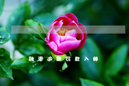融资逾期罚款入账 融资逾期罚款入账
