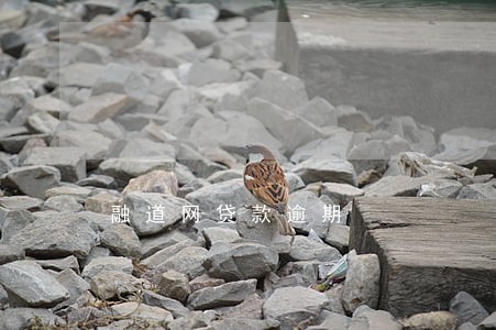 融道网贷款逾期 融道网贷款逾期
