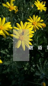 融道网逾期上征信吗 融道网逾期上征信吗