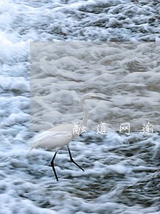 融道网逾期怎么样 融道网逾期怎么样