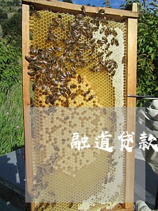 融道贷款逾期 融道贷款逾期