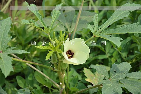 融金所30亿逾期 融金所30亿逾期