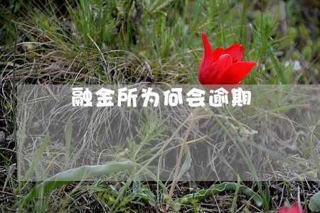 融金所为何会逾期 融金所为何会逾期