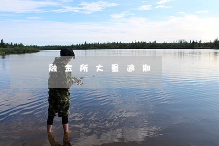 融金所大量逾期 融金所大量逾期