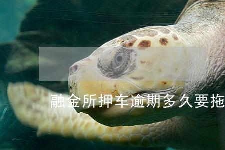 融金所押车逾期多久要拖车 融金所押车逾期多久要拖车