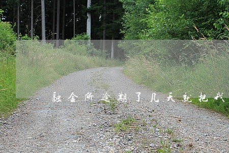 融金所逾期了几天就把我车拖走了 融金所逾期了几天就把我车拖走了