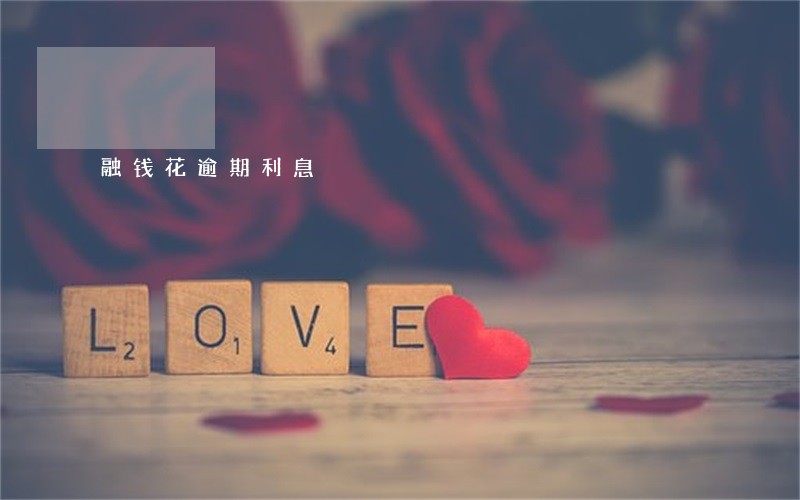 融钱花逾期利息 融钱花逾期利息
