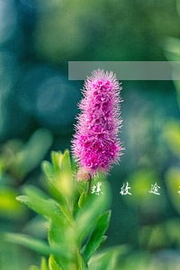 螺纹逾期多长时间不看新低 螺纹逾期多长时间不看新低