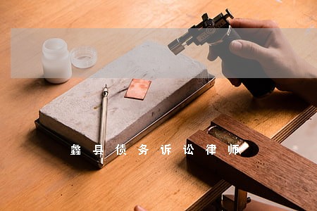 蠡县债务诉讼律师 蠡县债务诉讼律师