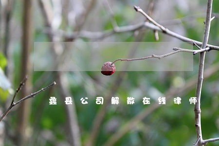 蠡县公司解散在线律师 蠡县公司解散在线律师