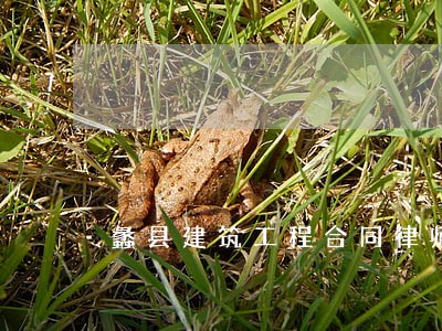 蠡县建筑工程合同律师 蠡县建筑工程合同律师