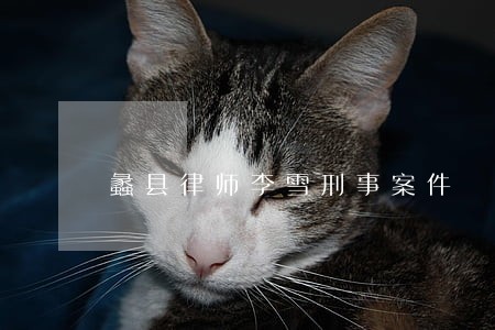 蠡县律师李雪刑事案件 蠡县律师李雪刑事案件