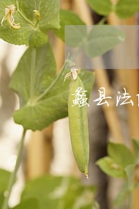 蠡县法院强制执行案件 蠡县法院强制执行案件