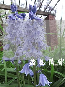 蠡县请律师付多少费用 蠡县请律师付多少费用