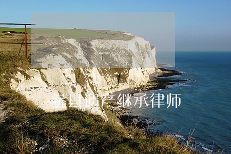 蠡县遗产继承律师