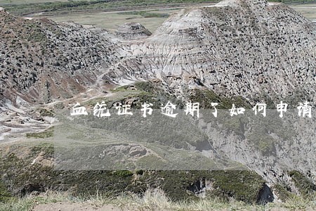 血统证书逾期了如何申请 血统证书逾期了如何申请