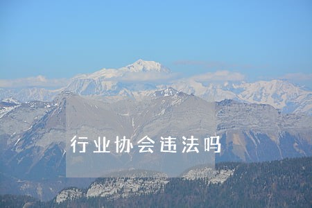 行业协会违法吗 行业协会违法吗
