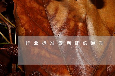 行业标准查询征信逾期 行业标准查询征信逾期