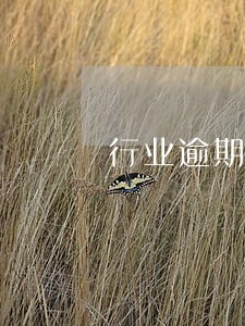 行业逾期名单风控检测 行业逾期名单风控检测