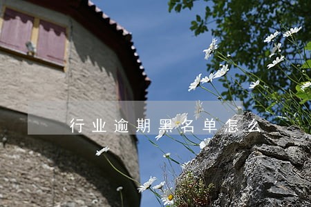 行业逾期黑名单怎么