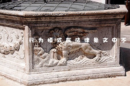 行为模式在法律条文中不能省略
