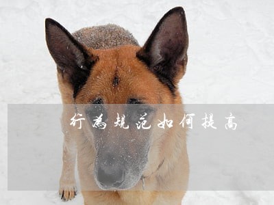 行为规范如何提高 行为规范如何提高