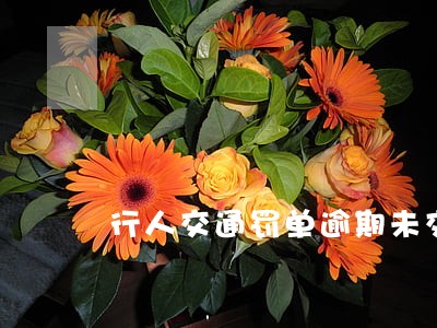 行人交通罚单逾期未交怎么处理 行人交通罚单逾期未交怎么处理