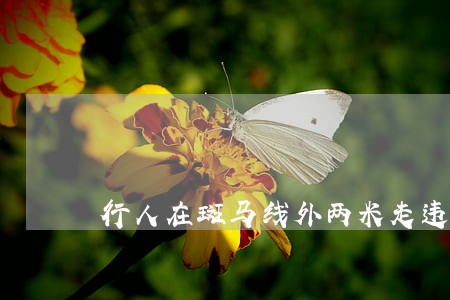 行人在斑马线外两米走违法吗