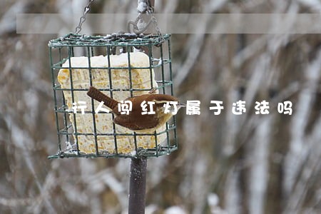 行人闯红灯属于违法吗 行人闯红灯属于违法吗