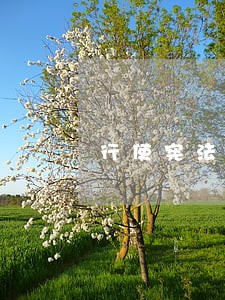行使宪法规定的和全国人 行使宪法规定的和全国人
