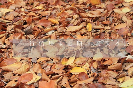 行信用卡逾期十几天才还款