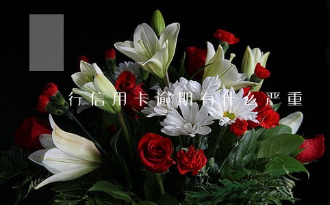 行信用卡逾期有什么严重 行信用卡逾期有什么严重