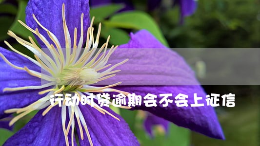 行动时贷逾期会不会上征信 行动时贷逾期会不会上征信