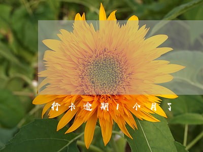 行卡逾期1个月了