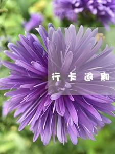 行卡逾期过卡还有用吗