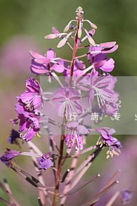 行唐专业欠款纠纷律师 行唐专业欠款纠纷律师
