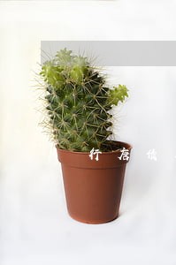 行唐债务清偿律师排名 行唐债务清偿律师排名