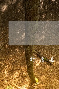行唐县房产律师代理费 行唐县房产律师代理费