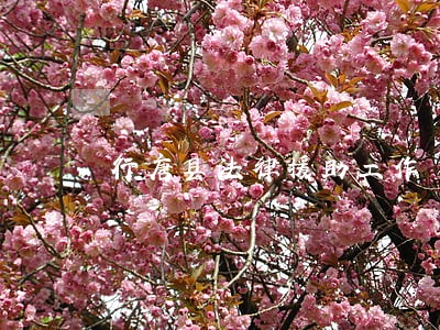 行唐县法律援助工作 行唐县法律援助工作