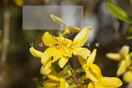 行填空题知识讲解