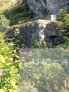 行政上诉诉讼法定程序 行政上诉诉讼法定程序