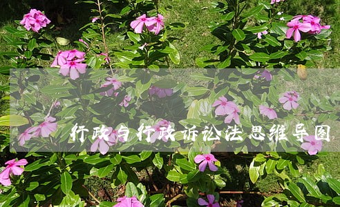 行政与行政诉讼法思维导图
