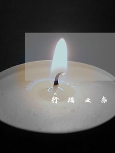 行政业务系统功能 行政业务系统功能