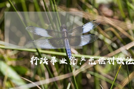 行政事业资产无偿划拨法律条文 行政事业资产无偿划拨法律条文